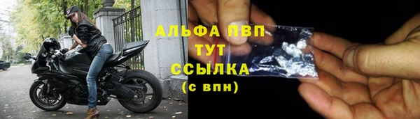 СК Заволжск