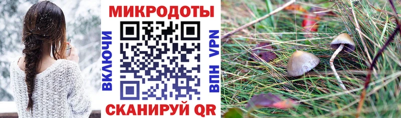 кракен маркетплейс  Инза  Галлюциногенные грибы Psilocybine cubensis  как найти наркотики 
